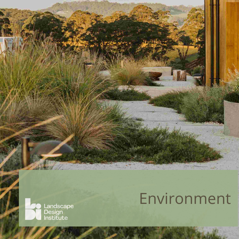 LDI Resources & Webinar links