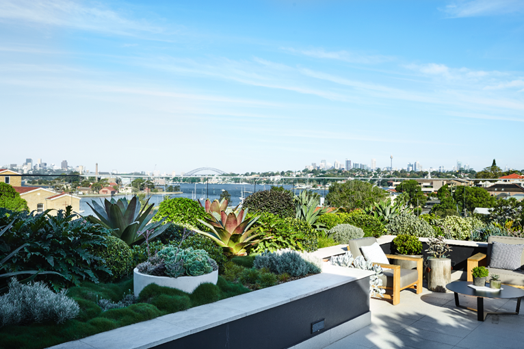 Rooftop landscape design by Adam Robinson, Adam Robinson Design