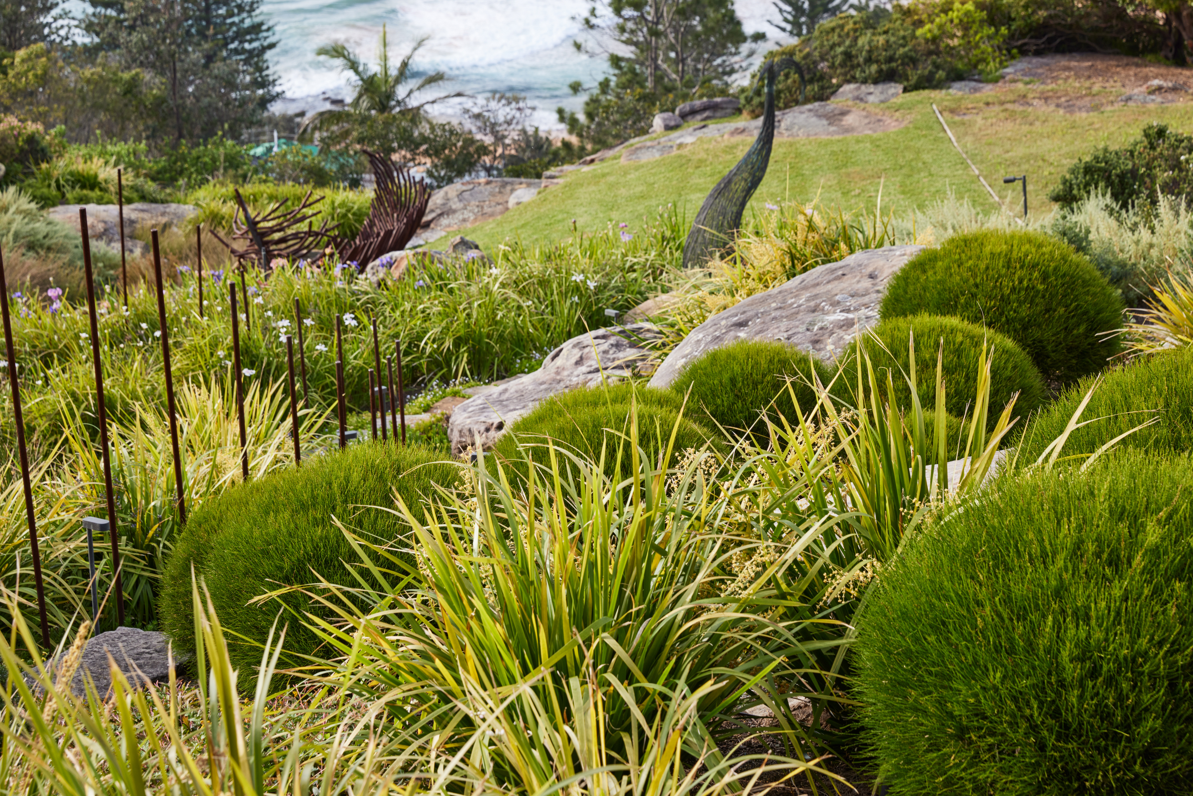 Nicola Cameron Pepo Botanic Design