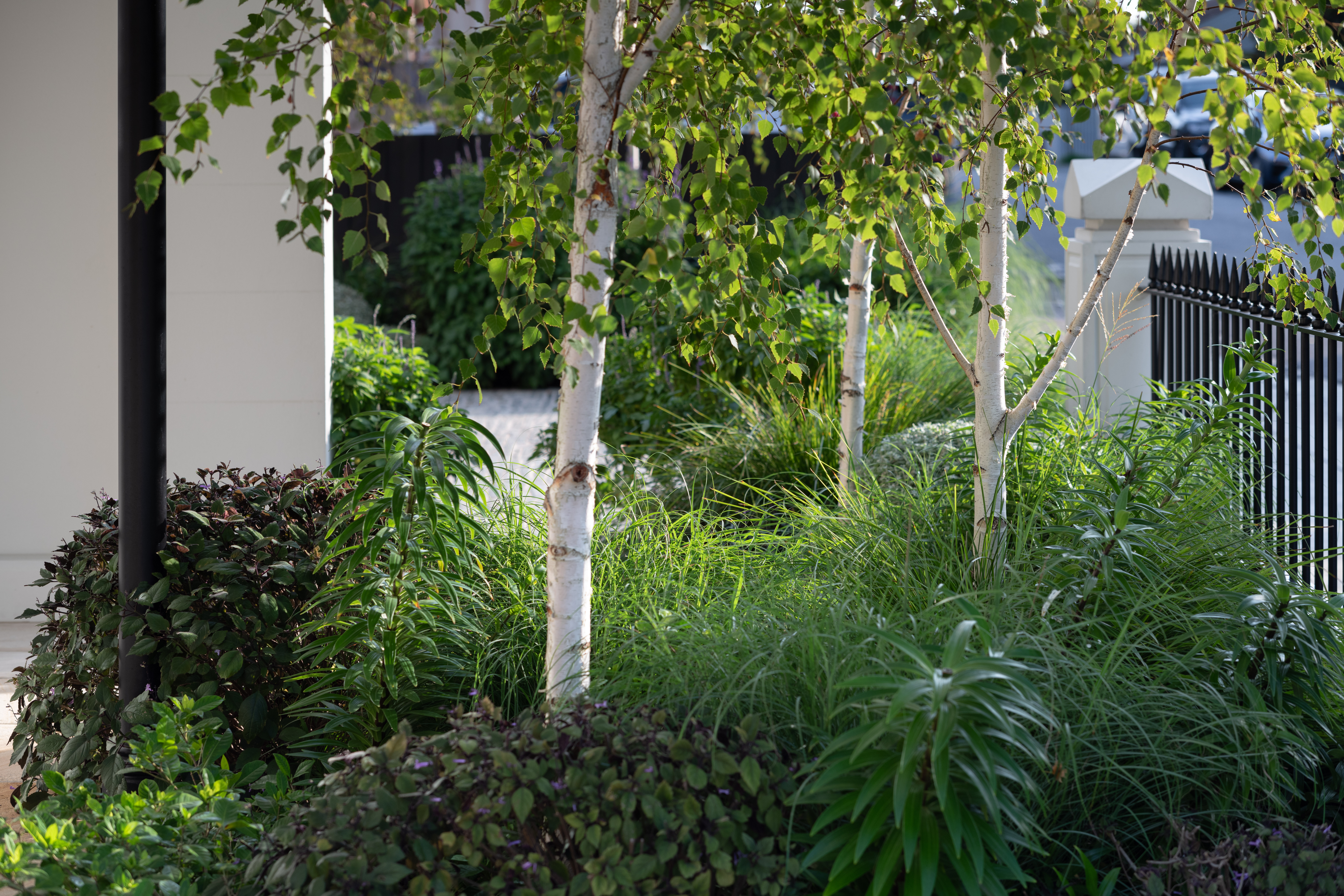 Adam McDonald
Impressions Landscape Design
Silver Award