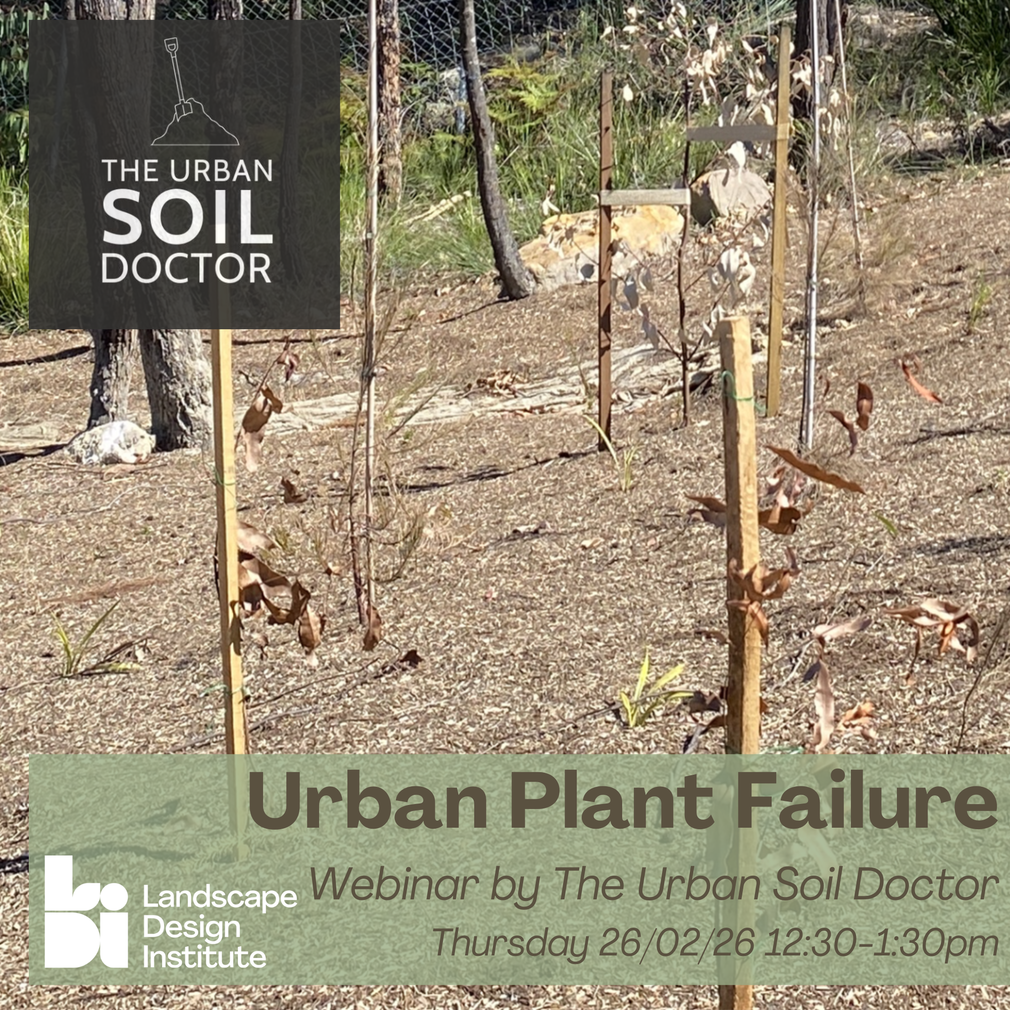 26 February: Webinar- Urban Plant Failure