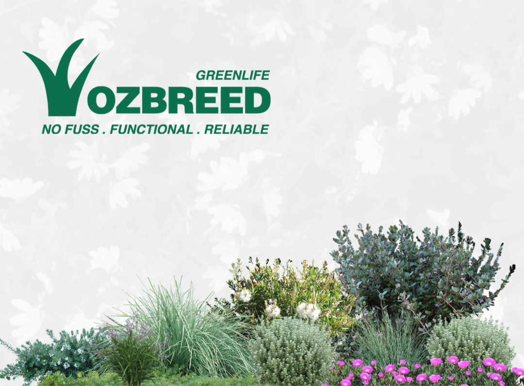 18 June Webinar | Plant Spec Tools with Ozbreed:  5 Resources to Simplify Right Plant, Right Place