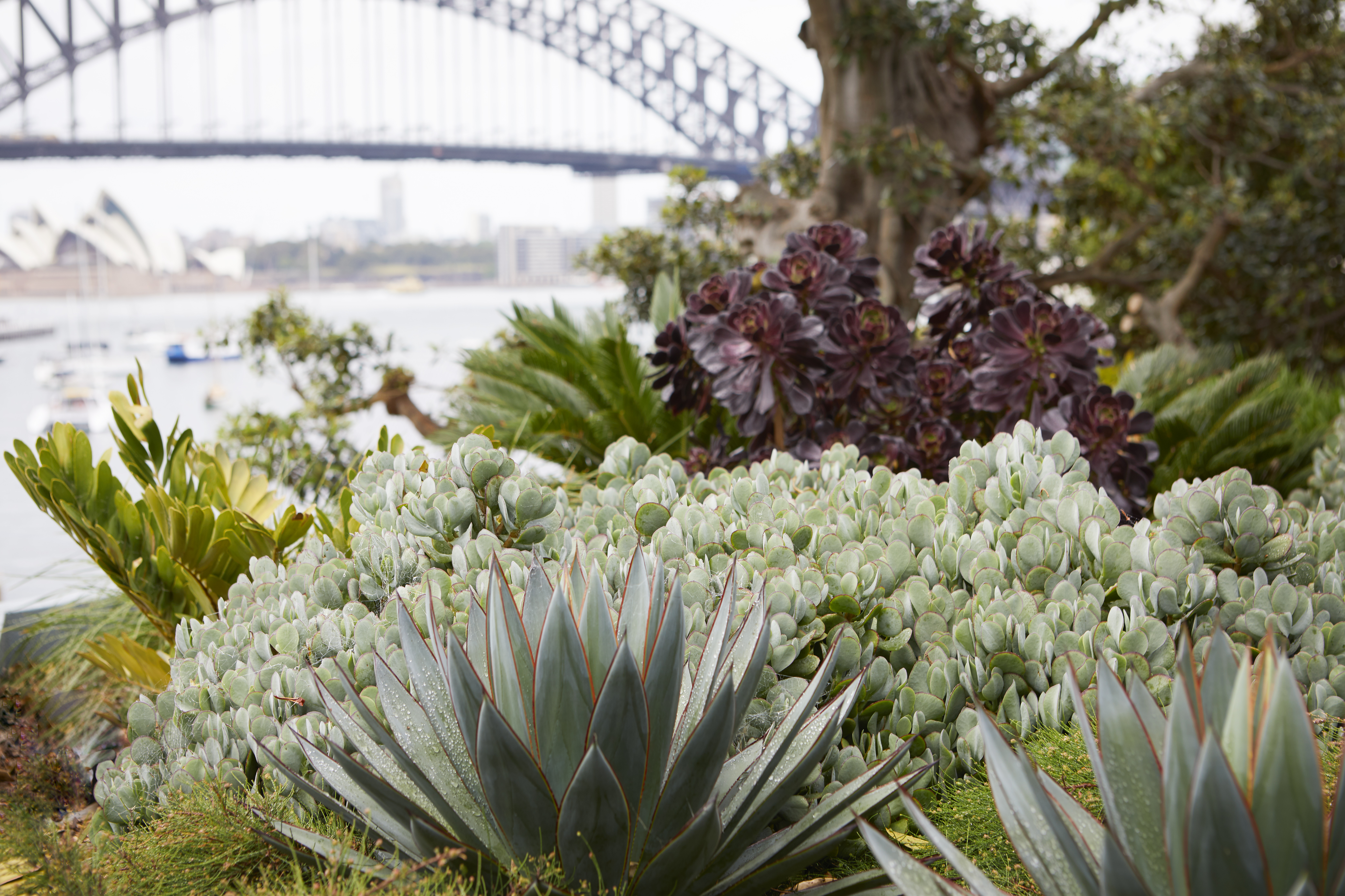 Landscape Design of the Year - Residential